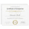 Black White Gold Certificate of Completion Award