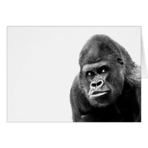 Black White Gorilla