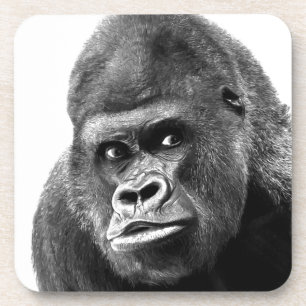 Black White Gorilla Coaster