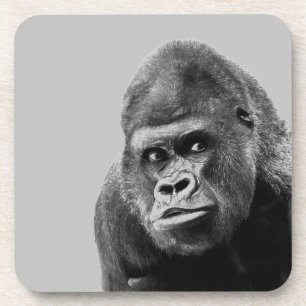 Black White Gorilla Coaster