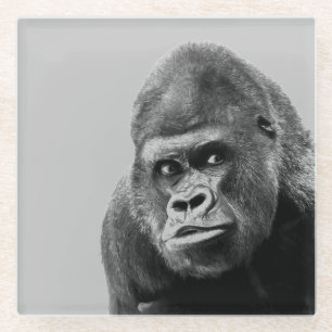 Black White Gorilla Glass Coaster