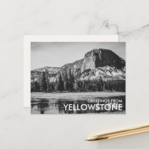 Black & White Greetings from Yellowstone Postcard