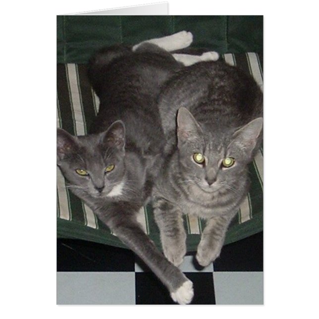 Black, White & Grey (Front)