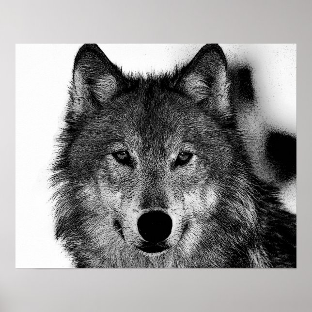 Black & White Grey Wolf Artwork Poster (Front)