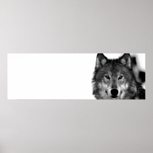 Black & White Grey Wolf Artwork Poster