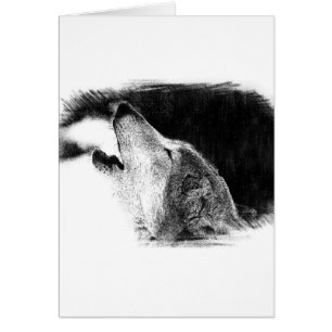 Black & White Grey Wolf Sketch Artwork