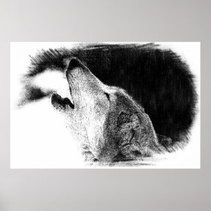 Black & White Grey Wolf Sketch Artwork Poster