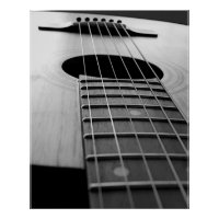 Black & White Guitar Musical Instrument Art Photo