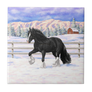 Black & White Gypsy Vanner Tinker Draught Horse Ceramic Tile