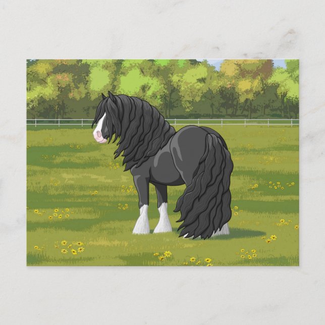 Black & White Gypsy Vanner Tinker Draught Horse Postcard (Front)