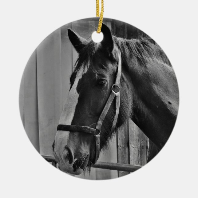 Black White Horse - Animal Photography Art Ceramic Tree Decoration (Front)