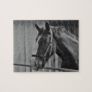 Black White Horse - Animal Photography Art Jigsaw Puzzle