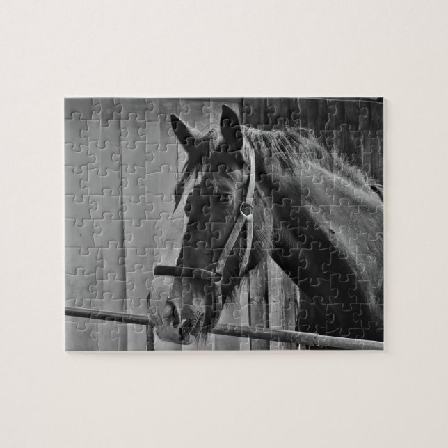 Black White Horse - Animal Photography Art Jigsaw Puzzle (Horizontal)