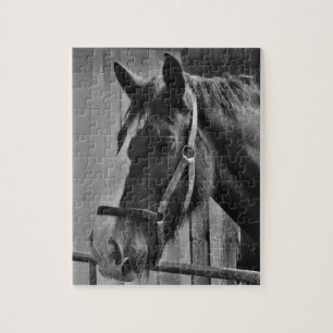 Black White Horse - Animal Photography Art Jigsaw Puzzle