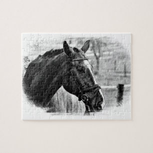 Black White Horse - Animal Photography Art Jigsaw Puzzle