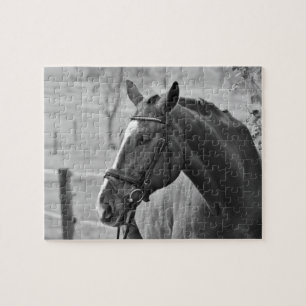 Black White Horse - Animal Photography Art Jigsaw Puzzle