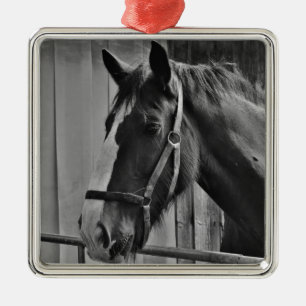 Black White Horse - Animal Photography Art Metal Ornament