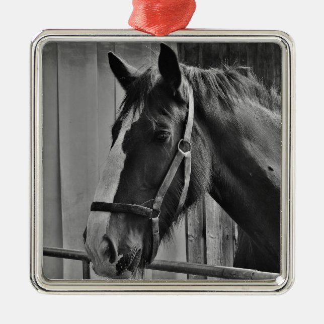 Black White Horse - Animal Photography Art Metal Ornament (Front)