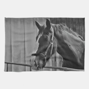 Black White Horse - Animal Photography Art Tea Towel