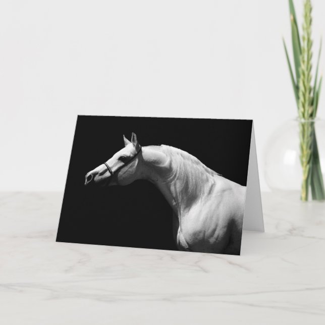 Black & White Horse Card (Front)