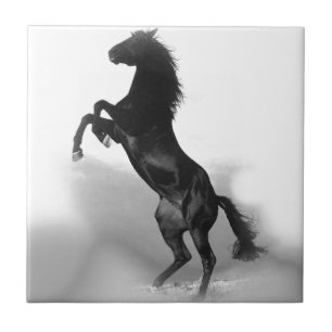 Black White Horse Ceramic Tile