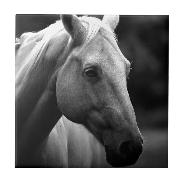 Black White Horse Ceramic Tile (Front)