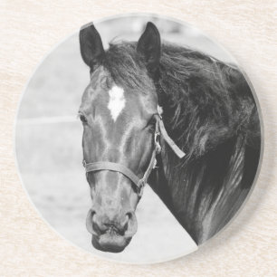 Black White Horse Coaster