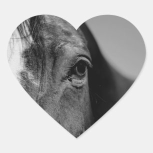 Black White Horse Eye Artwork Heart Sticker