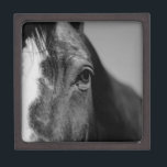 Black White Horse Eye Artwork Jewellery Box<br><div class="desc">Horse Head Art - Horse Face - Modern Animal Art Photography</div>