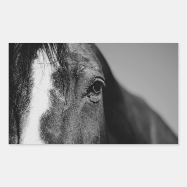 Black White Horse Eye Artwork Rectangular Sticker (Front)