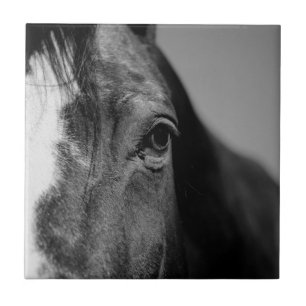 Black White Horse Eye Artwork Tile