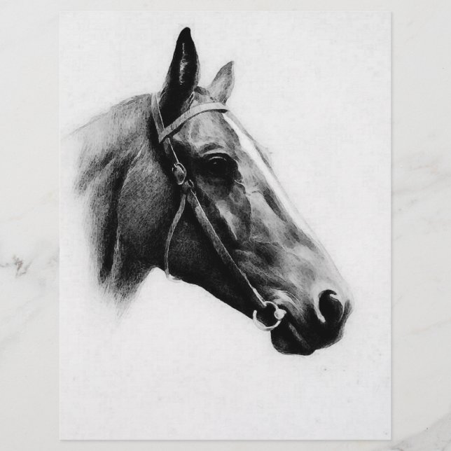 Black & White Horse Flyer (Front)