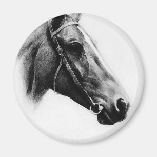 Black & White Horse Magnet