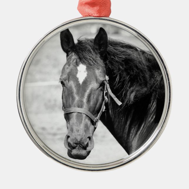Black White Horse Metal Ornament (Front)