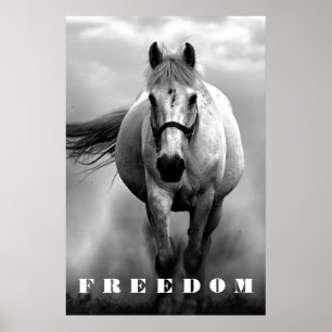 Black White Horse Motivational Freedom Artwork Poster