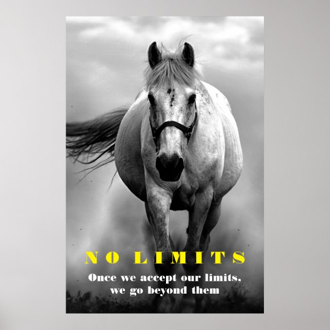 Black White Horse Motivational No Limits Artwork Poster (Front)