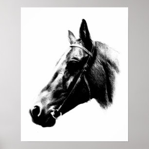 Black White Horse Pencil Digital Artwork Poster