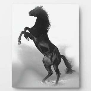 Black White Horse Plaque