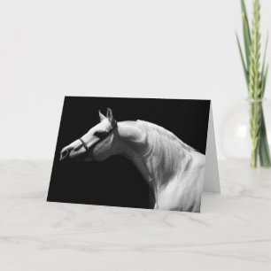 Black & White Horse Portrait Greeting Card