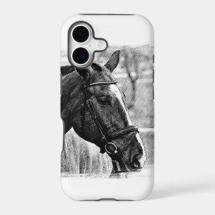 Black White Horse Sketch