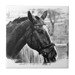 Black White Horse Sketch Ceramic Tile