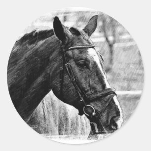 Black White Horse Sketch Classic Round Sticker