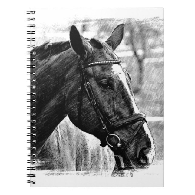 Black White Horse Sketch Notebook (Front)