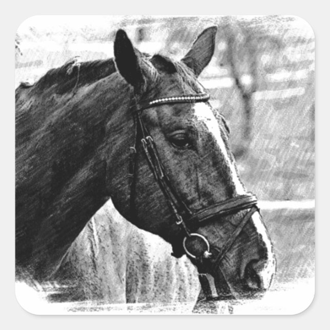 Black White Horse Sketch Square Sticker (Front)