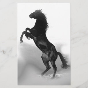 Black White Horse Stationery