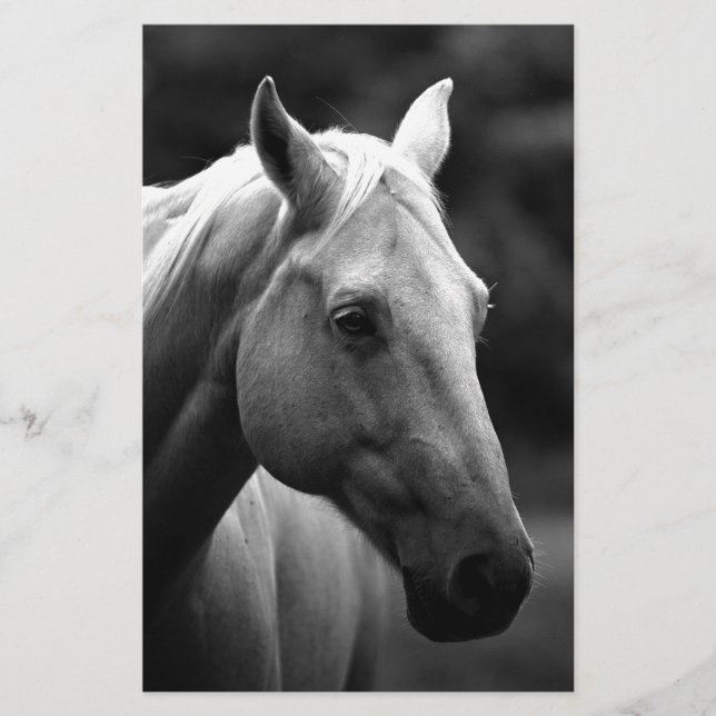 Black White Horse Stationery (Front)
