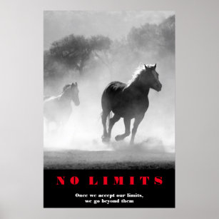 Black White Horses Motivational No Limits Artwork Poster
