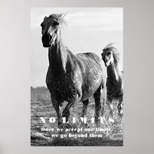 Black White Horses Motivational No Limits Artwork Poster