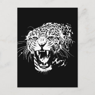 Black & White Jaguar Postcard