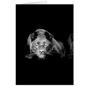 Black & White Jaguar -Wild Cats Cards For Sale